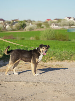 Сара